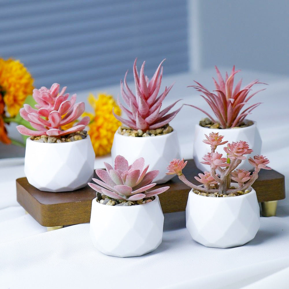 Mini Flocked Succulent Plant Decor