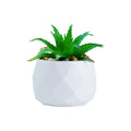 Mini Flocked Succulent Plant Decor