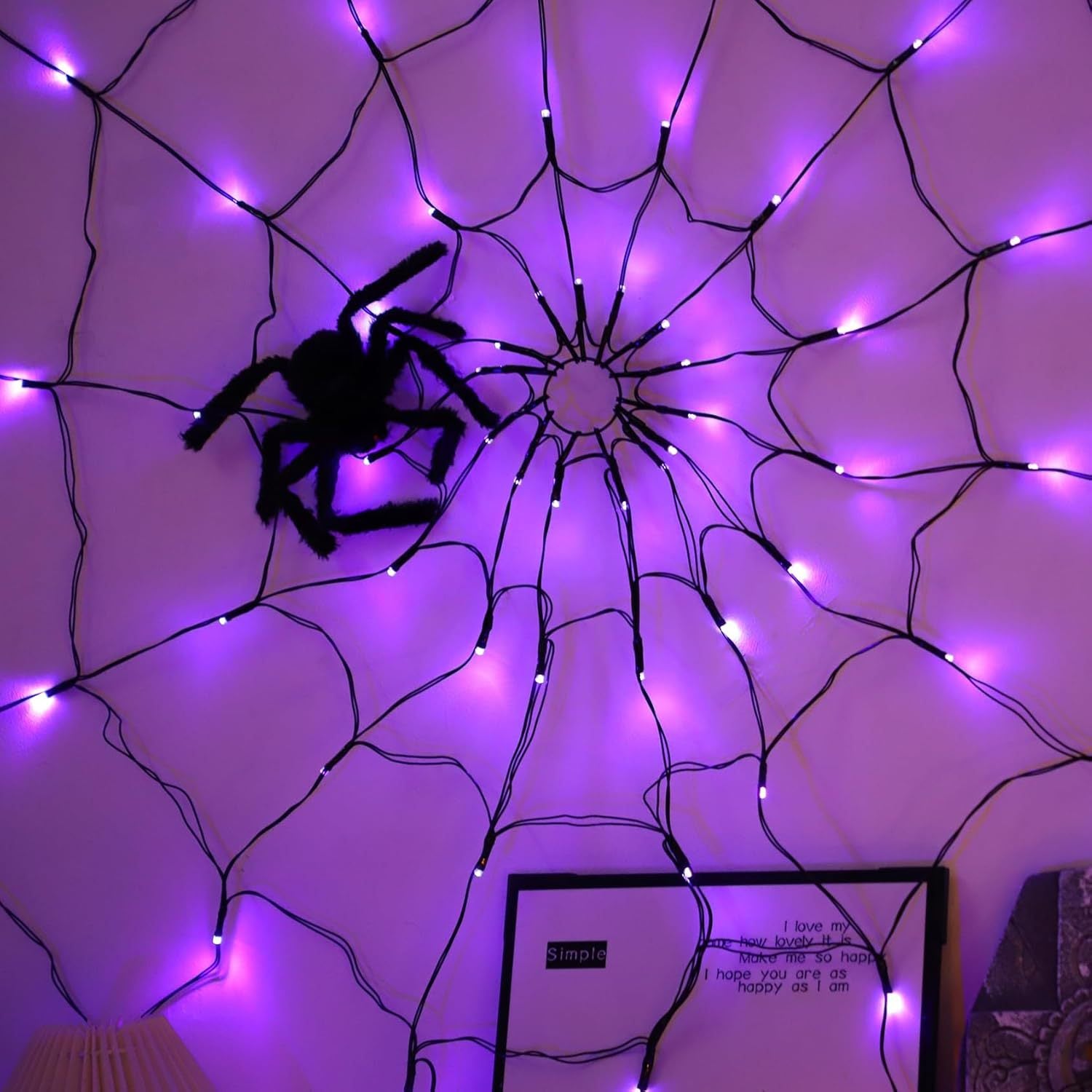 Halloween Spider Web Light with Remote Control