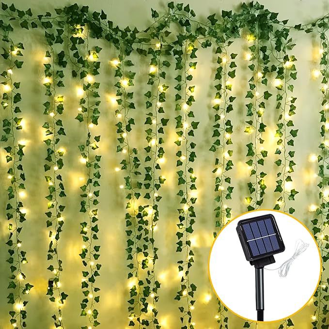 LED decorative lights